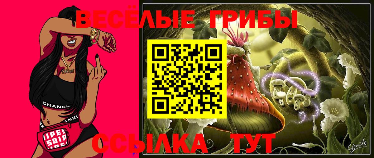 Галлюциногенные грибы Magic Shrooms Ртищево