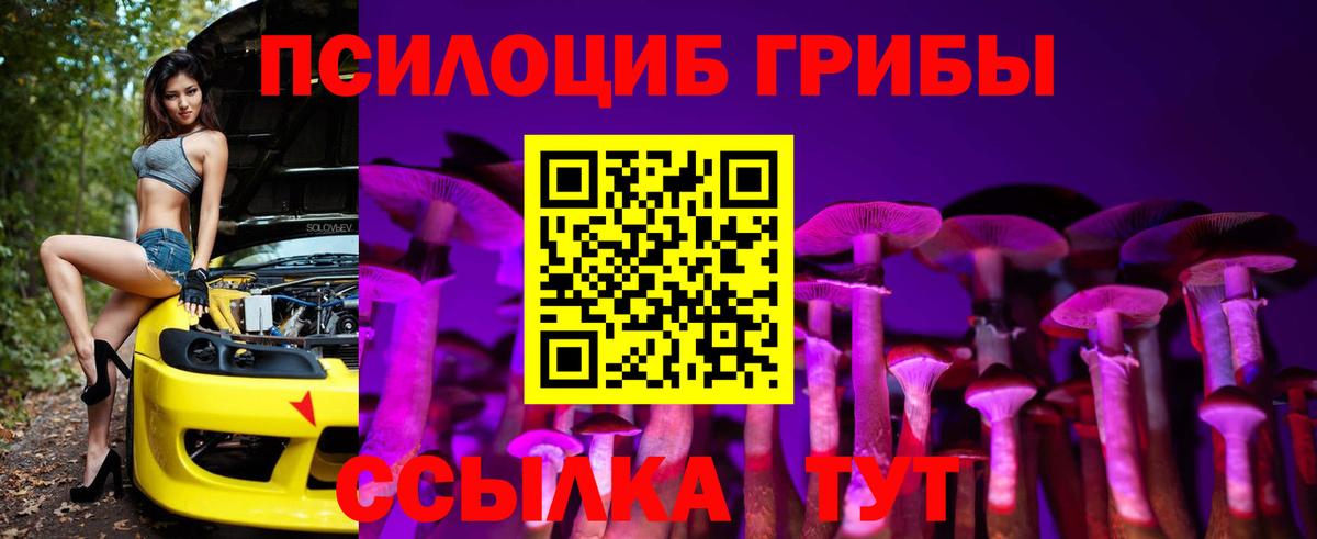 Ртищево  Галлюциногенные грибы MAGIC MUSHROOMS  Вход с VPN 